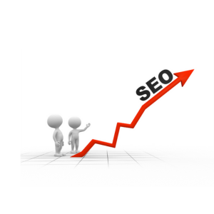 seo & Paid ADs services
