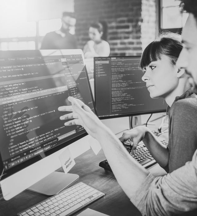 website development